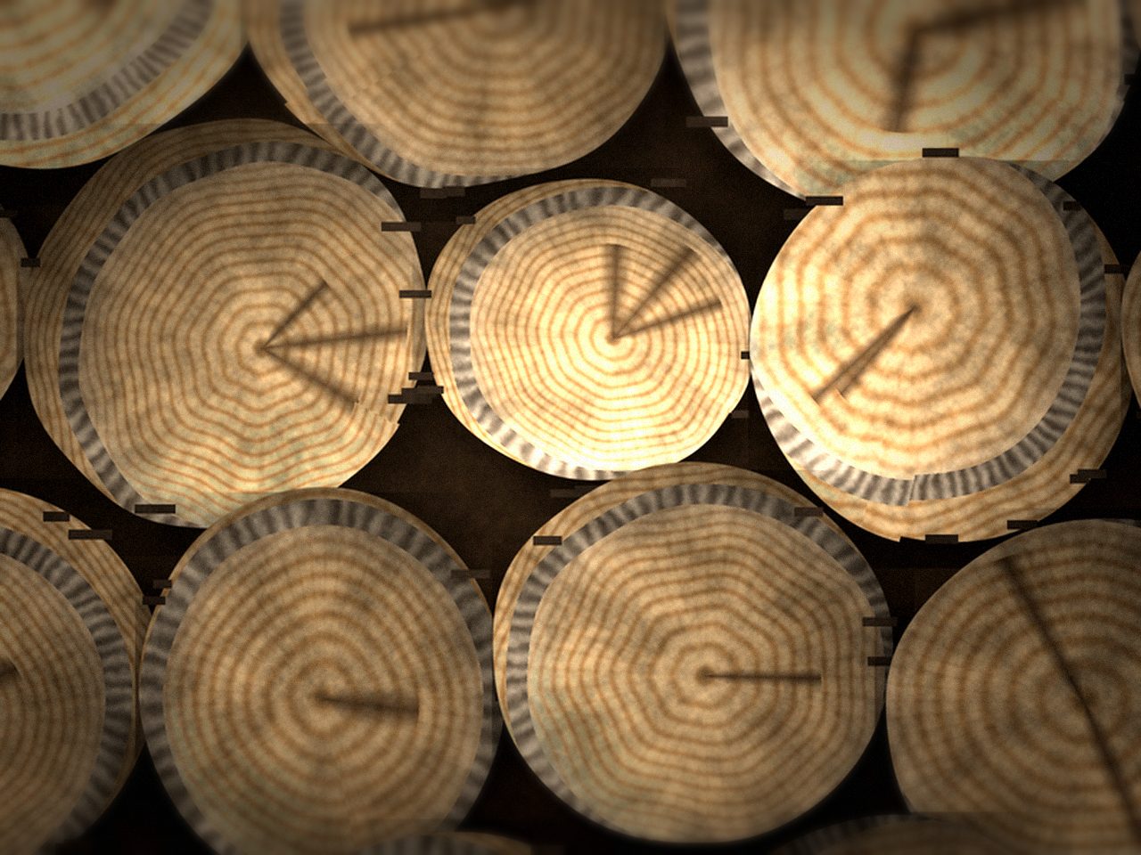 Кругляк берёзовый для распила — ракурс 3